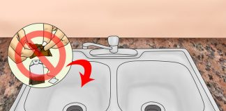 Những thứ tuyệt đối không đổ vào bồn rửa 1