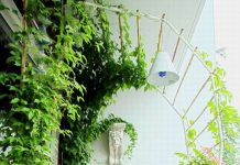 Ý tưởng tuyệt vời để có ban công xanh cho nhà phố - 1