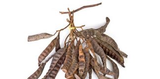 Cách gội đầu bằng bồ kết cho mái tóc óng mượt như nhung1