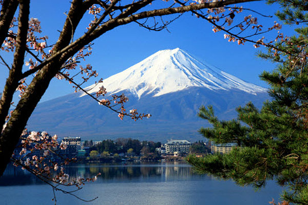 8 cách trải nghiệm văn hóa Nhật Bản - 3