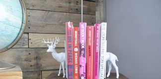 Thích thú với những bộ chặn sách mini muôn hình muôn vẻ 1