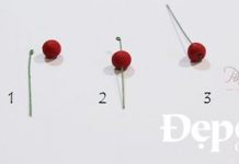 Cách làm holly từ gumpaste trang trí phòng khách Giáng sinh Cách làm holly từ gumpaste trang trí phòng khách Giáng sinh - 1