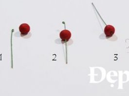 Cách làm holly từ gumpaste trang trí phòng khách Giáng sinh - 1