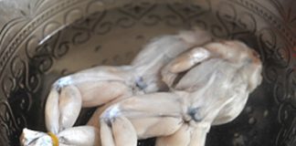 Cách nấu cà ri ếch kiểu Singapore - 1