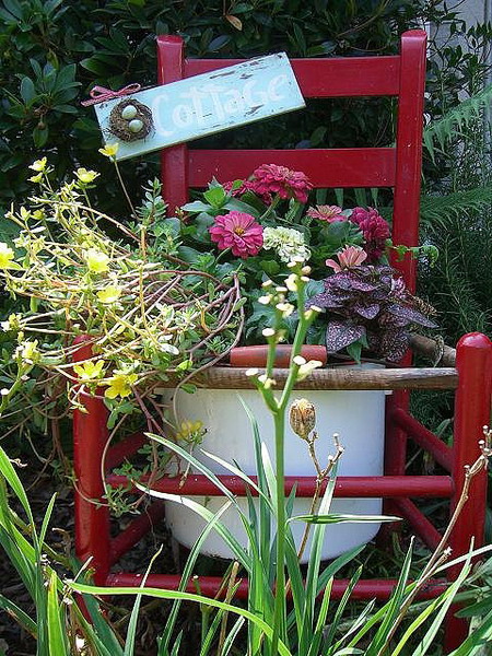 Biến ghế cũ thành bồn hoa rực rỡ | ảnh 11