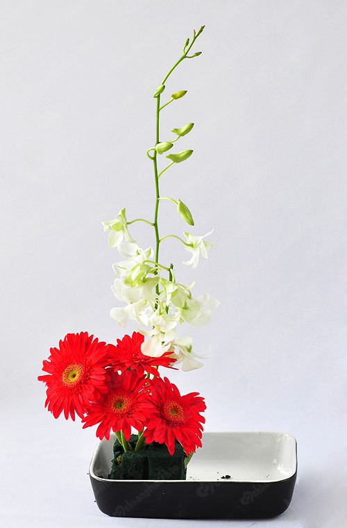 Nghệ thuật cắm hoa Nhật Bản đơn giản mà vô cùng tinh tế 2