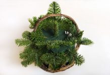 Cắm hoa hồng nhung 