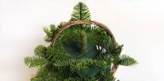 Cắm hoa hồng nhung 