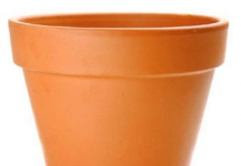 Xếp chậu hoa siêu nghiêng cho hàng xóm sốc