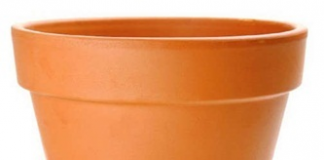 Xếp chậu hoa siêu nghiêng cho hàng xóm sốc