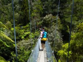 Du học và Du Lịch New Zealand  - 1