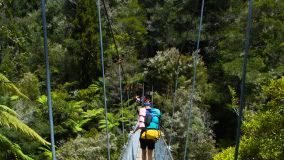 Du học và Du Lịch New Zealand  - 1