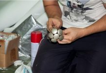 Ý tưởng mới trang trí nhà dịp cuối năm 1