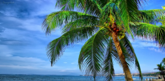 Đi 'bụi' ở Bình Thuận