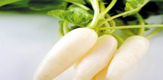 Tác dụng của củ cải trắng - 1