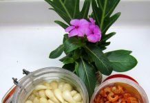 Tôm khô củ kiệu – món nhậu tuyệt ngon cho ngày Tết Tôm khô củ kiệu - món nhậu ngon cho ông xã lai rai dịp Tết