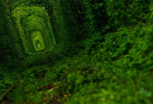 Tunnel of Love