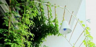 6 ý tưởng biến ban công thành góc thư giãn 6 ý tưởng biến ban công thành góc thư giãn - 1