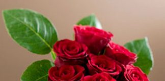 Cách làm đẹp nhà cực hấp dẫn từ hoa hồng - 1