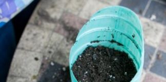 Làm chậu trồng cây từ lọ nước khoáng - 1