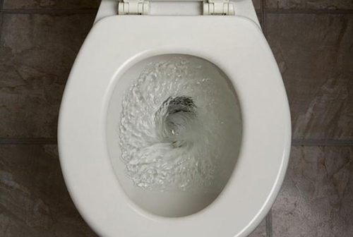 Thói quen khi đi vệ sinh khiến bạn rước bệnh vào người