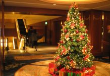 Chọn đèn trang trí cho cây thông Noel Chọn đèn trang trí cho cây thông Noel - 1