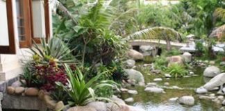 Cách sắp xếp đá sân vườn hợp phong thủy - 1