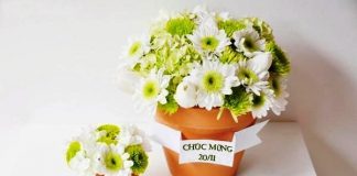 Cắm hoa cúc giản dị và thanh tao ngày 20/11 7