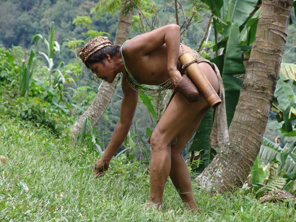 Khám phá rừng nhiệt đới lâu đời nhất trái đất - 7