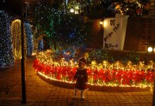 Trang trí đèn quanh nhà chào đón giáng sinh - 6