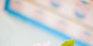 Thêm hoa vào nhà 'đá bay' buồn tẻ - 1