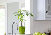 Cách trang trí bếp chan hòa ánh sáng Bếp chan hòa ánh sáng