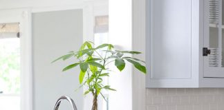 Bếp chan hòa ánh sáng