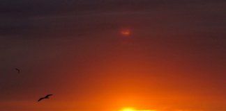 Hoàng hôn xứ Phi châu