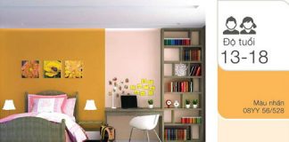 Xem màu sắc phong thủy hợp với mệnh Hỏa theo độ tuổi - 1