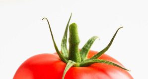 8-loai-qua-giup-ban-co-duoc-lan-da-sang