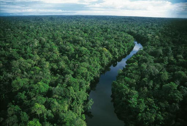Rừng rậm Amazon, Nam Mỹ