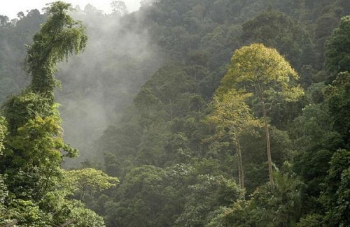 Khám phá Papua New Guinea hoang dã - 5