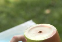 Hàng rào xinh xinh với khu vườn thẳng đứng - Archi