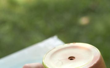 Hàng rào xinh xinh với khu vườn thẳng đứng - Archi