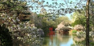 Những khu vườn bách thảo đẹp nhất thế giới - 1