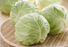 Những người tuyệt đối không nên ăn bắp cải