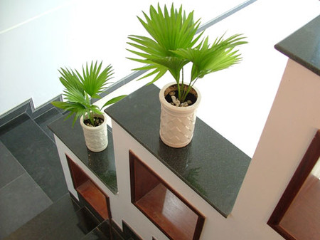 Lọc không khí trong nhà bằng cây xanh - Không Gian Sống - Sức khỏe gia đình - Trang trí nhà đẹp