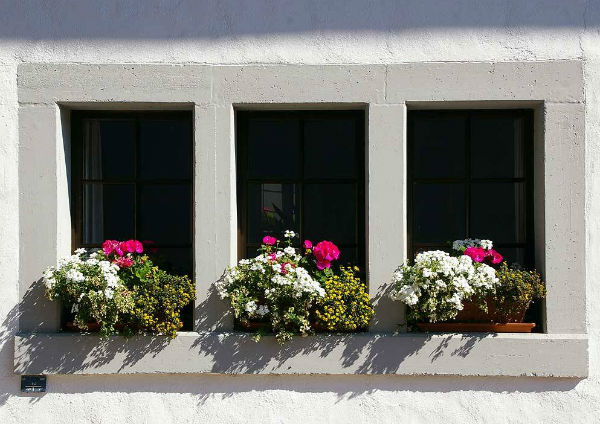 Những ô cửa sổ rực rỡ sắc hoa - 7
