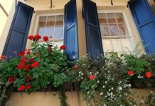 Những ô cửa sổ rực rỡ sắc hoa Những ô cửa sổ rực rỡ sắc hoa - 1