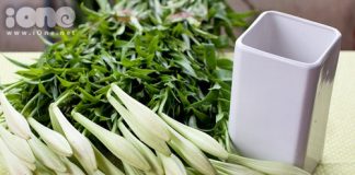 cach_cam_hoa_loa_ken_tinh_khoi_chao_don_thang4