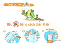 Cách làm bẫy muỗi để tiêu diệt hàng trăm con cực hiệu quả