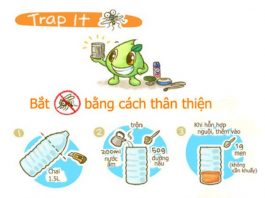 Cách làm bẫy muỗi để tiêu diệt hàng trăm con cực hiệu quả