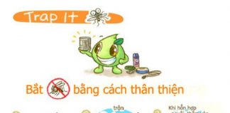 Cách làm bẫy muỗi để tiêu diệt hàng trăm con cực hiệu quả