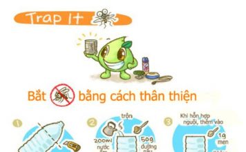 Cách làm bẫy muỗi để tiêu diệt hàng trăm con cực hiệu quả